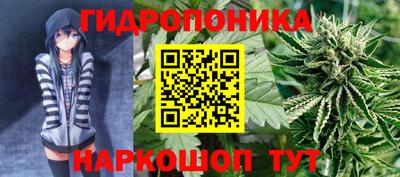 стафф Бузулук