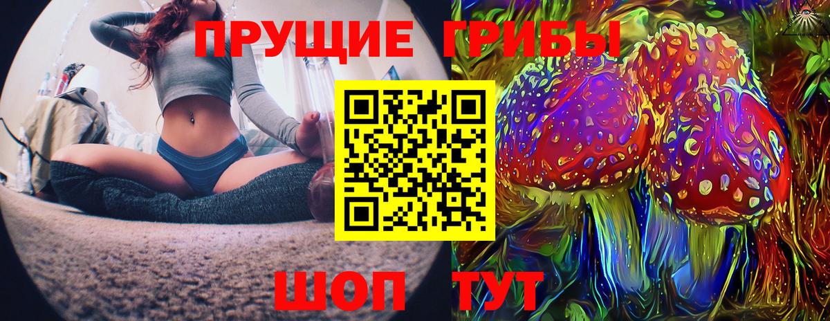 Великий Новгород  Псилоцибиновые грибы GOLDEN TEACHER  Вход с VPN 