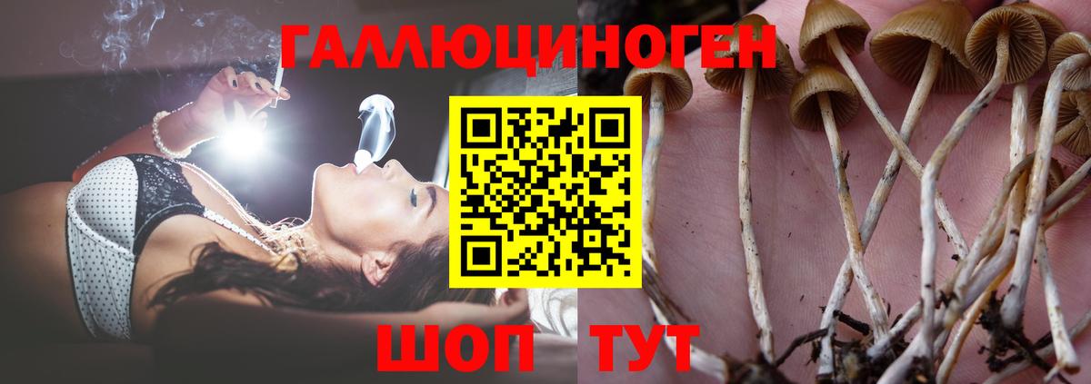 Галлюциногенные грибы мухоморы Великий Новгород